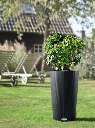 Självvattnande Kruka Cilindro Color 32 skiffergrå H56cm