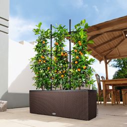 Självvattnande Blomlåda Trio Cottage 30 mocka L 100cm