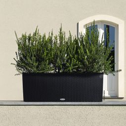 Lechuza Trio blomlåda 100cm självvattnande