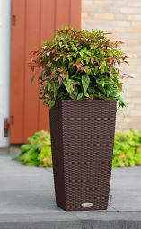 Självvattnande Kruka Cubico Cottage 30 Mocka