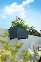 Balconera blomlåda 50cm med vattenmagasin