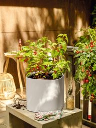 Självvattnande Inomhuskruka Pila 35cm ljusgrå