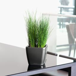 Självvattnande Kruka Quadro 21cm grå