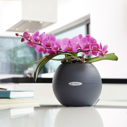 Självvattnande Inomhuskruka Puro Color 20 skiffergrå