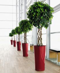Självvattnande Inomhuskruka Delta 40 H75cm röd