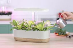 Hydroponisk odling Urban Growing P10